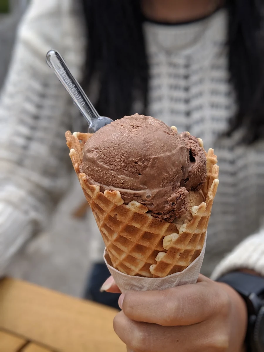 Malted Milk and Almond Chocolate Ice Cream