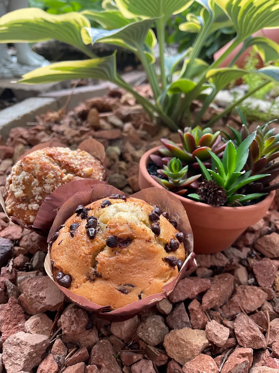 Chocolate Chip Muffin