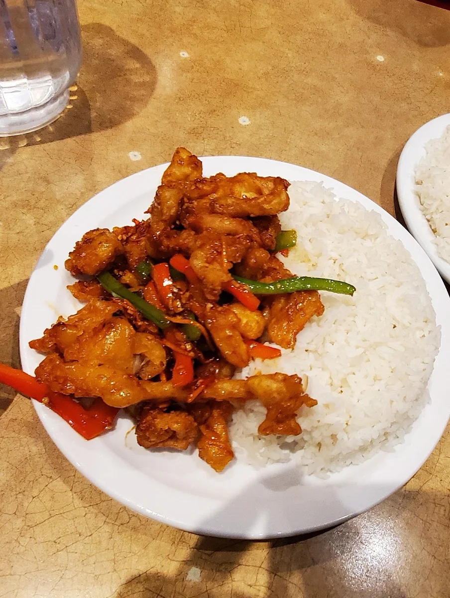 Crispy Ginger Chicken