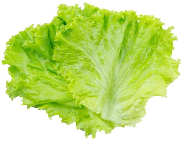Lettuce, 6ix Burgers®