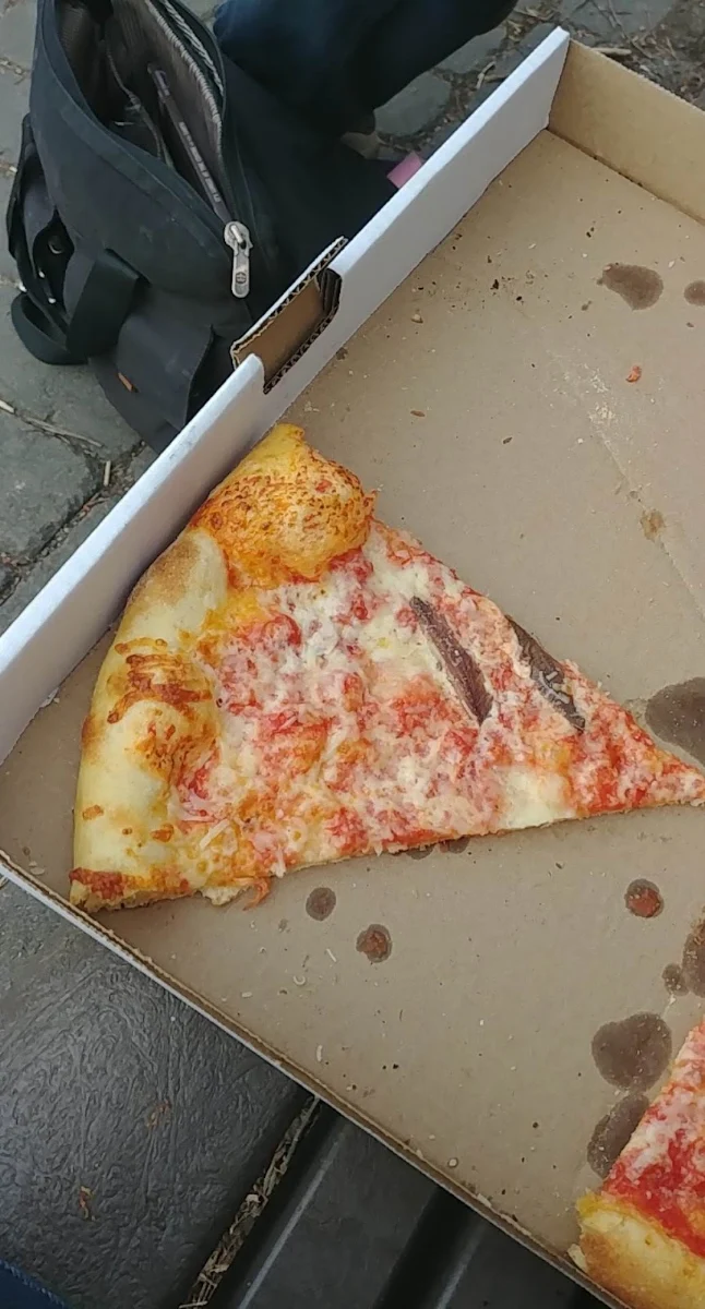 Anchovy Pizza Margherita