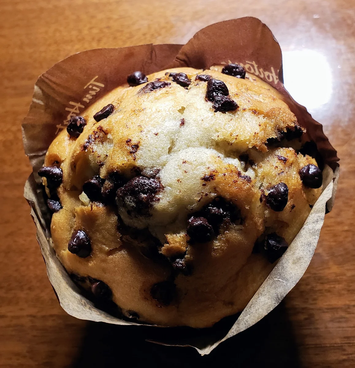 Chocolate Chip Muffin