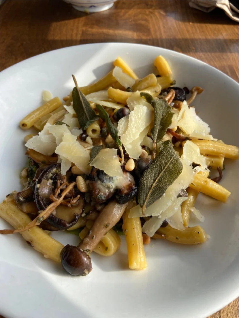 Wild Mushroom Rigatoni