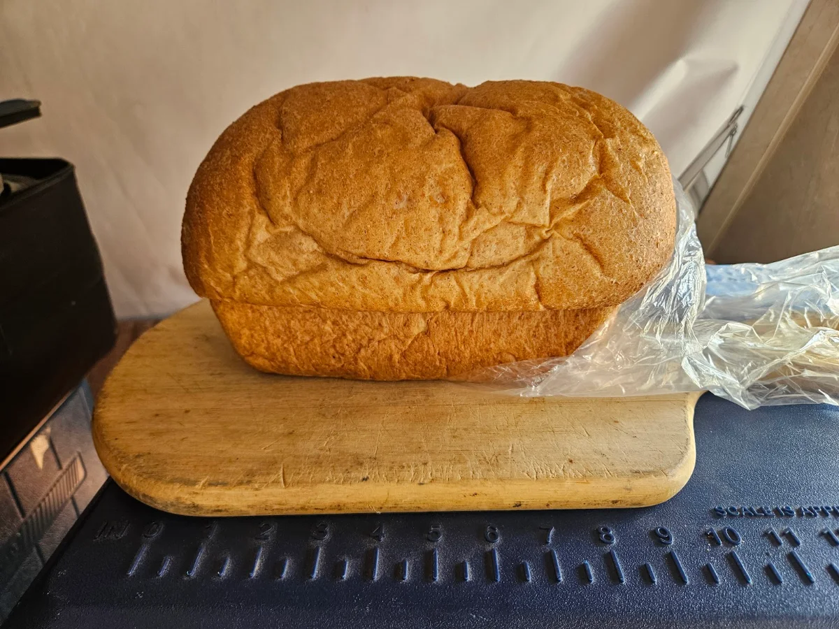 Bread