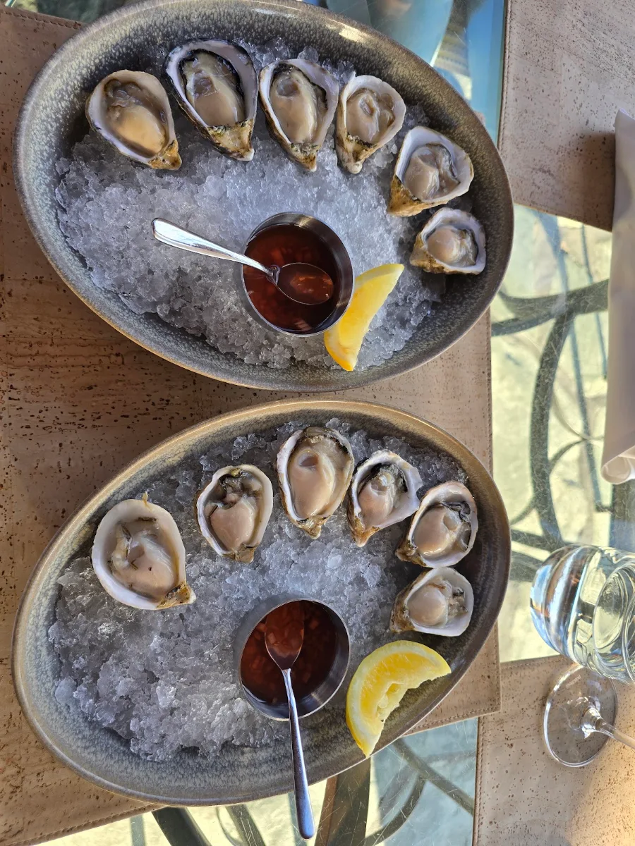 Oysters on the Half Shell