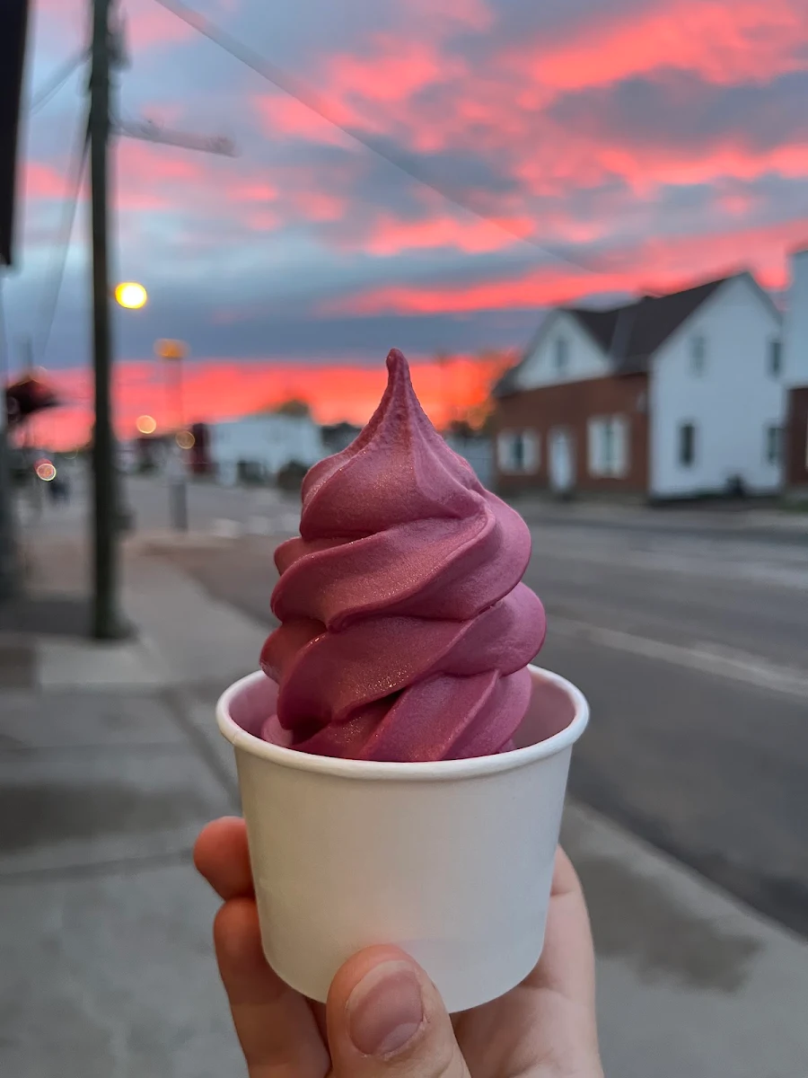 Highlights, The Silly Scoop