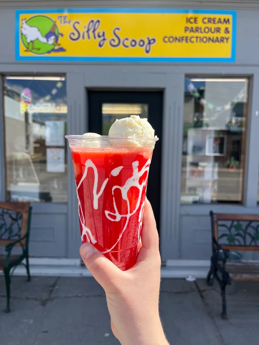Highlights, The Silly Scoop