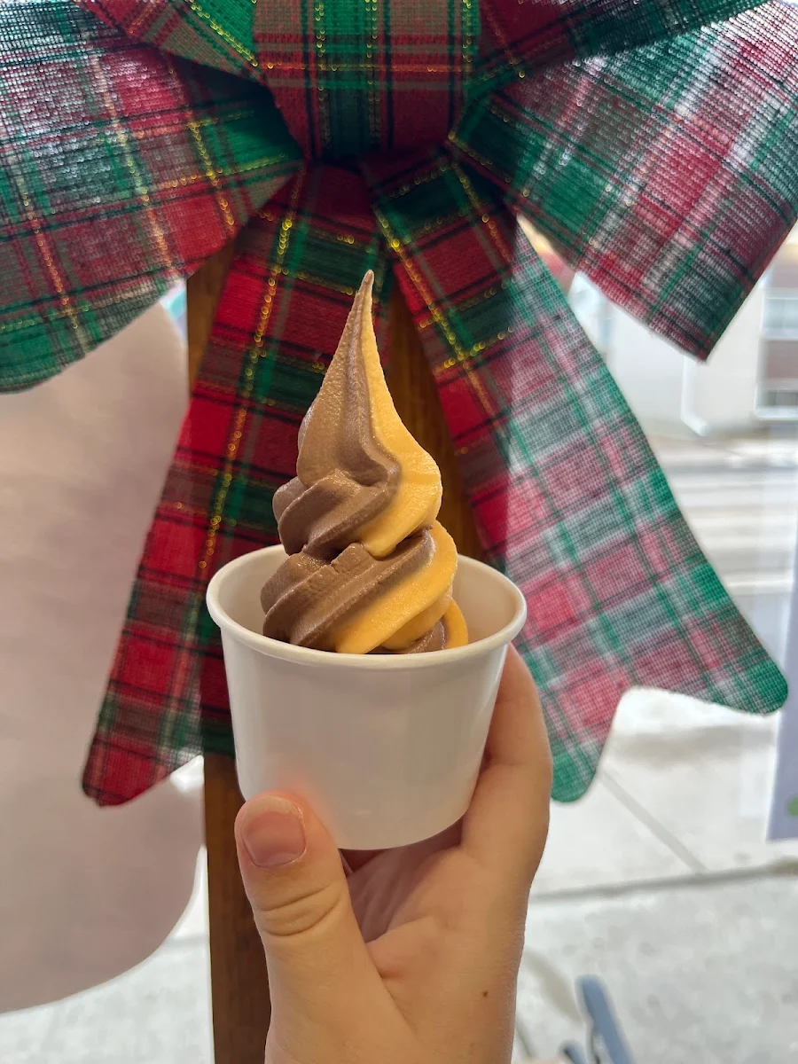 Highlights, The Silly Scoop