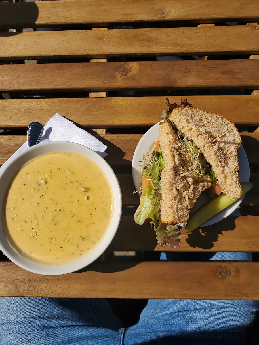 Tuna Salad Sandwich & Cream of Broccoli Soup