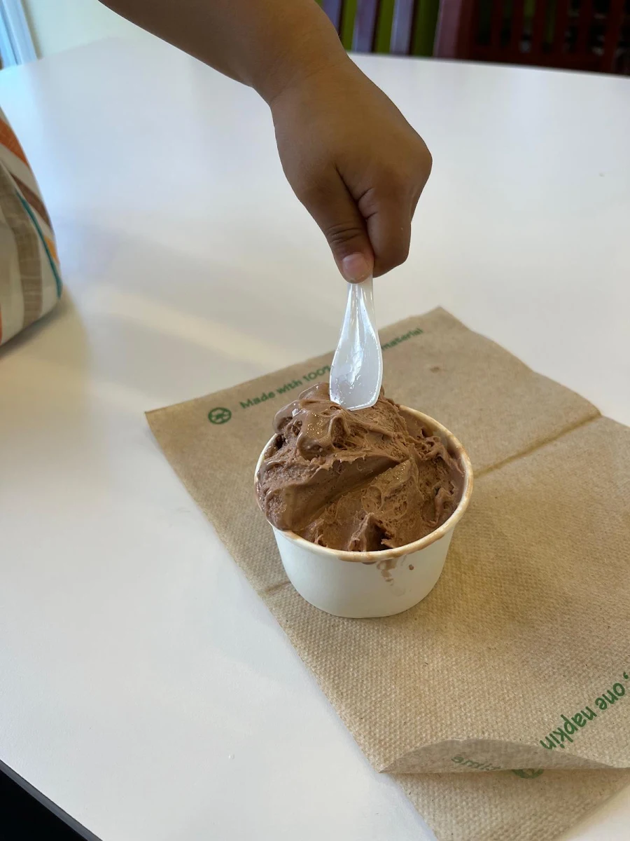 Chocolate Ice Cream