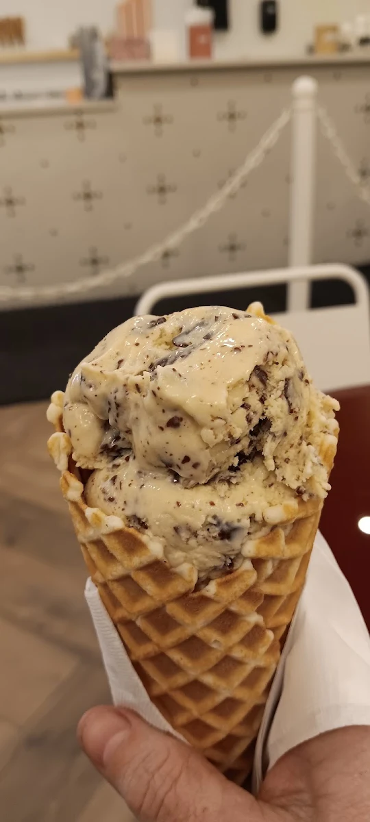 Mint Chocolate Ice Cream