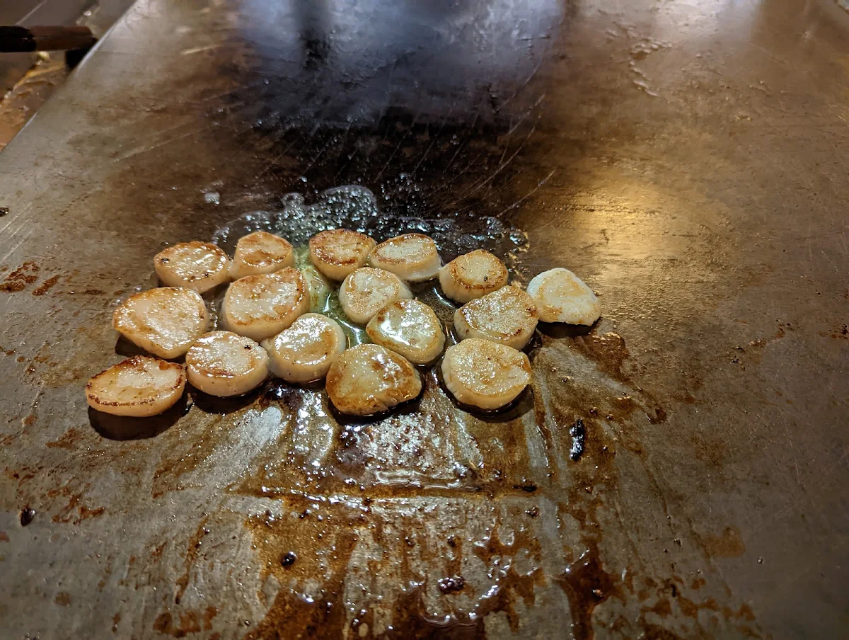 Scallops