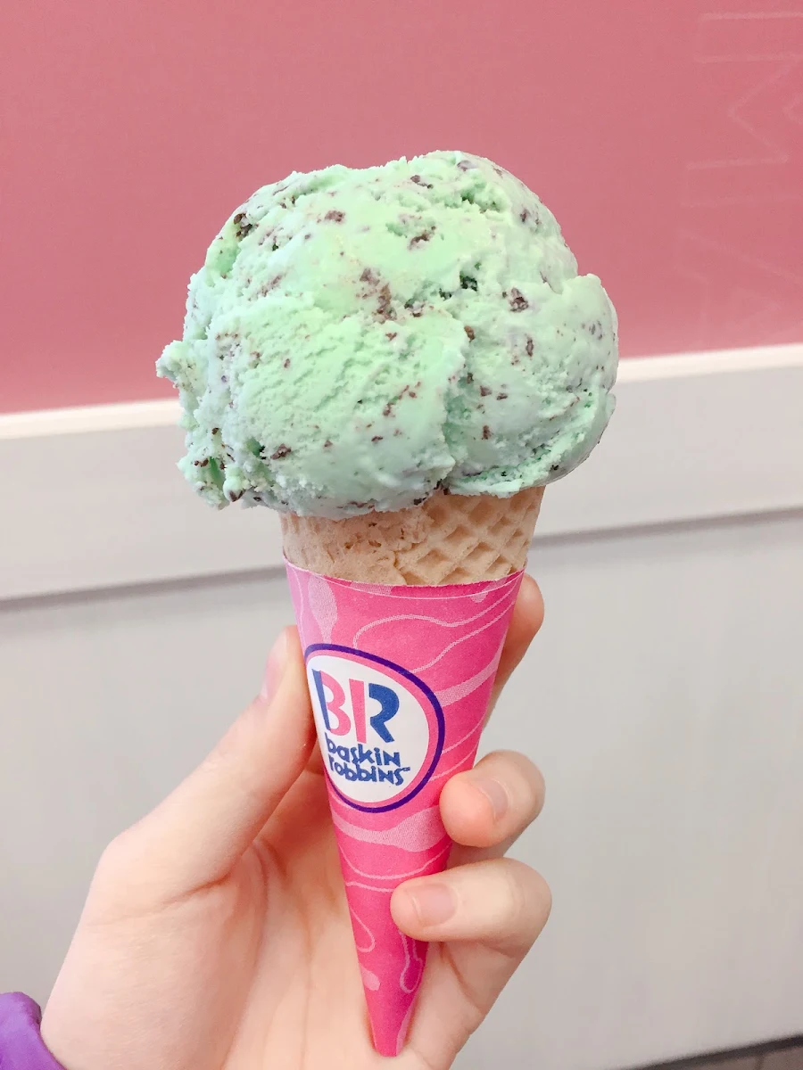 Mint Chocolate Chip Ice Cream