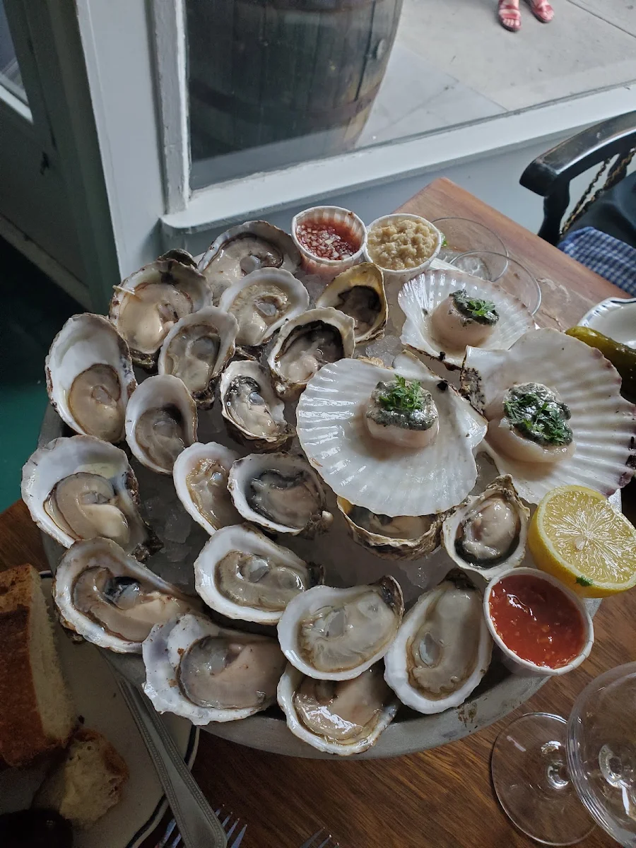 Fresh Oysters