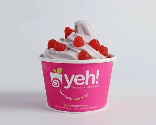 Highlights, Yeh! Frozen Yogurt