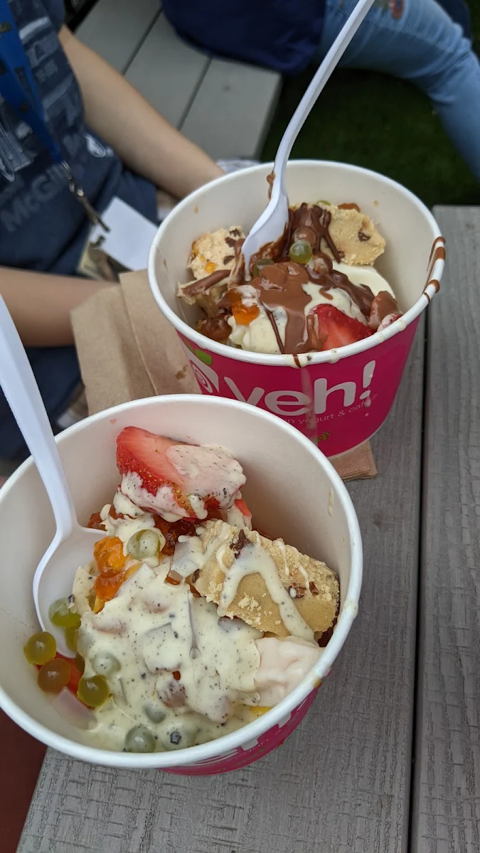 Highlights, Yeh! Frozen Yogurt