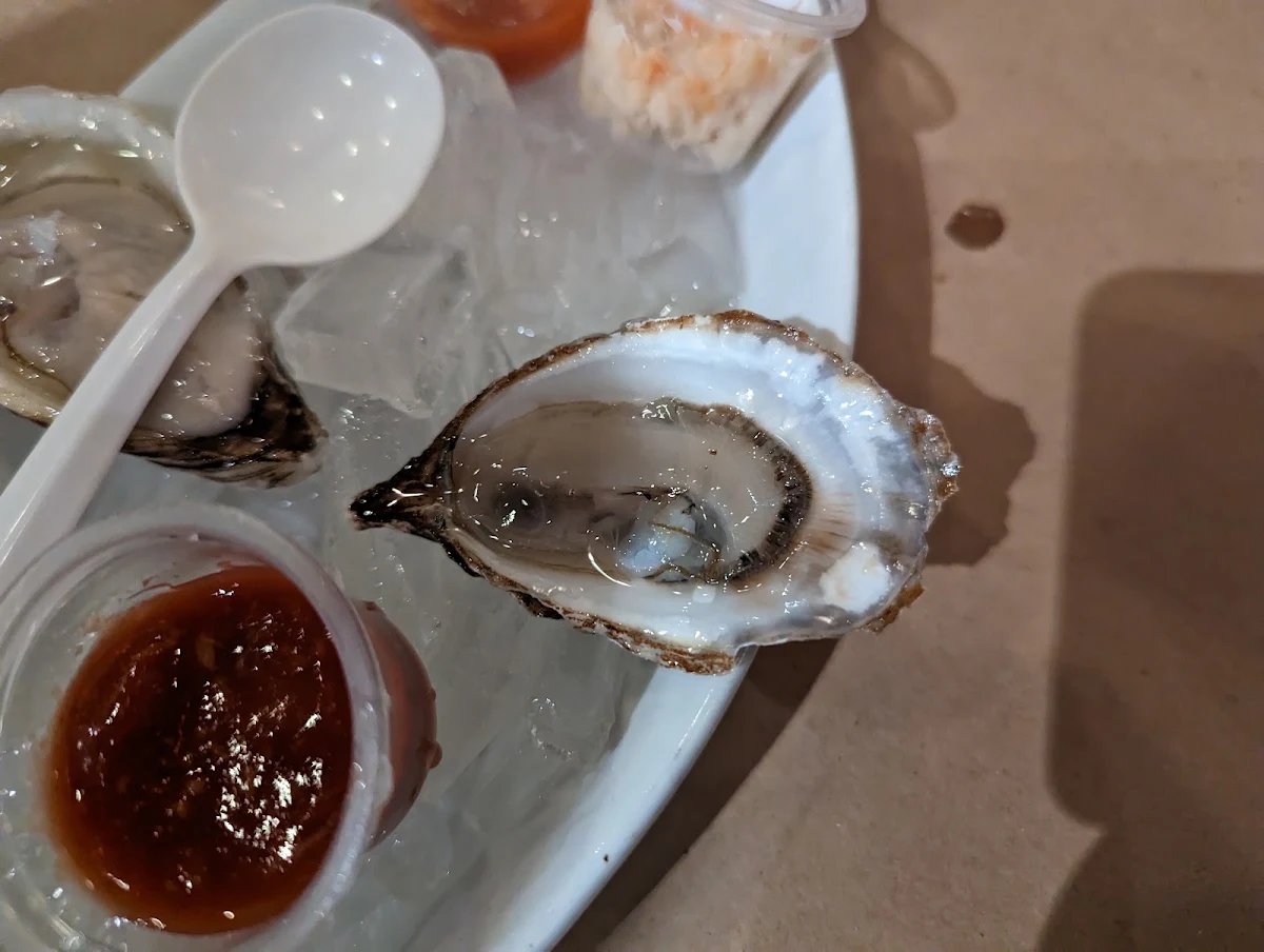 Fresh Oysters