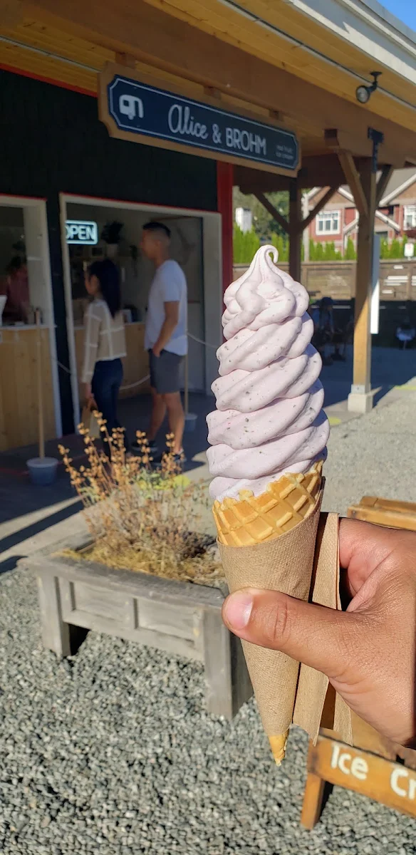 Blackberry Ice Cream