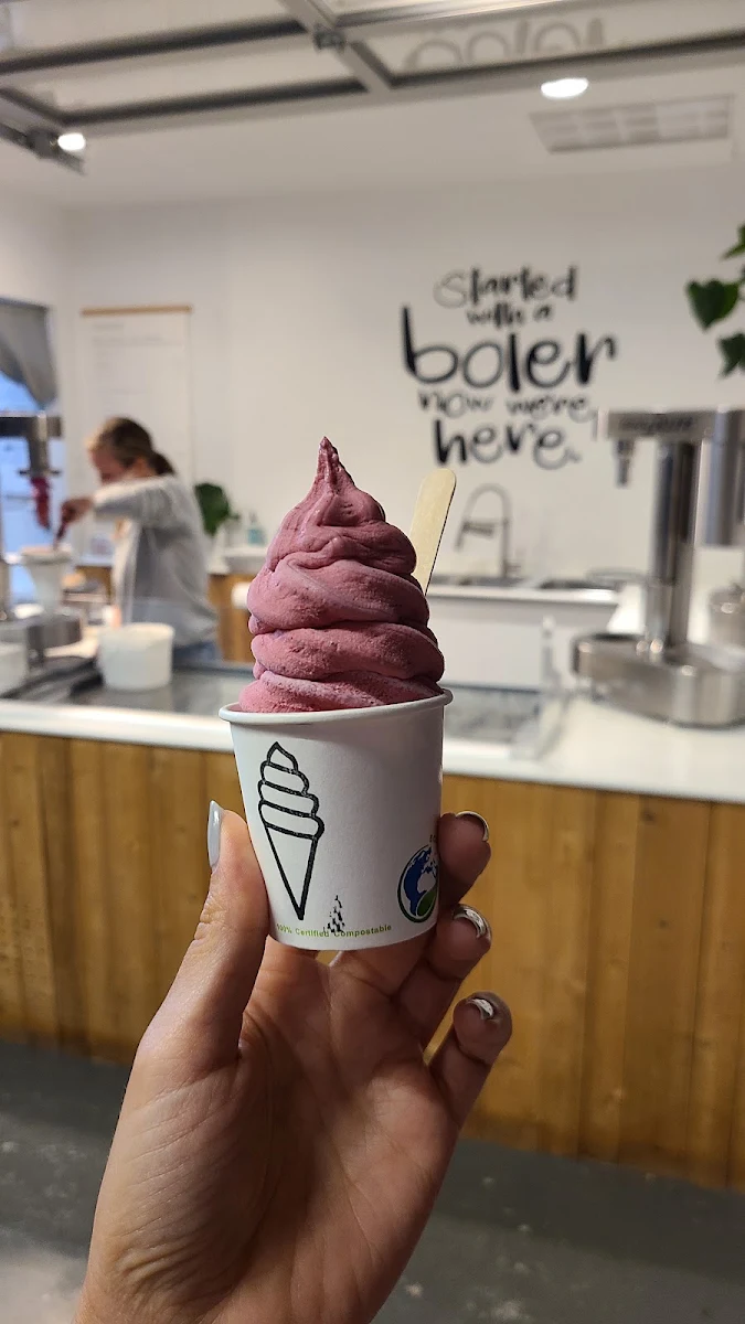 Raspberry Coconut Ice Cream