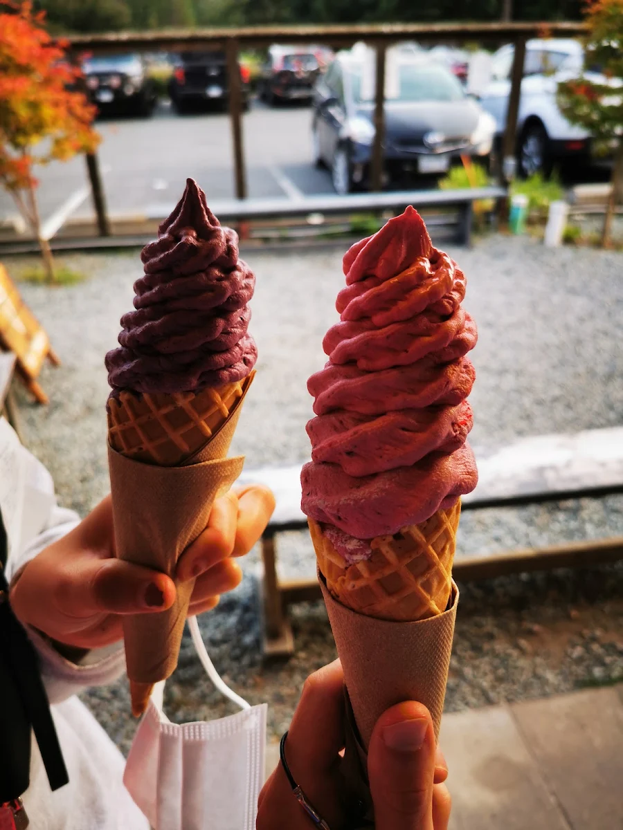 Raspberry Ice Cream Cone