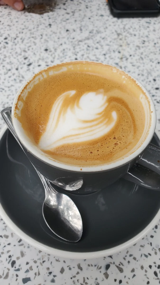 Flatwhite, Café In Gamba Saint-Viateur