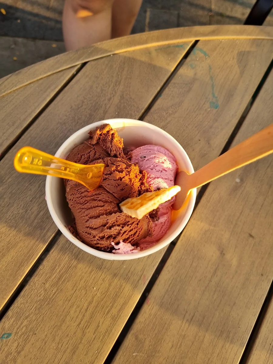 Cherry Chocolate Ice Cream