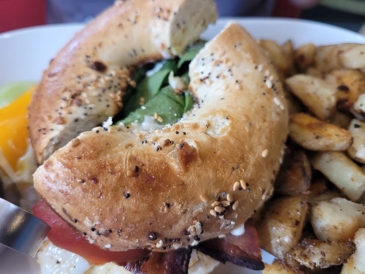 Bagel Sandwich