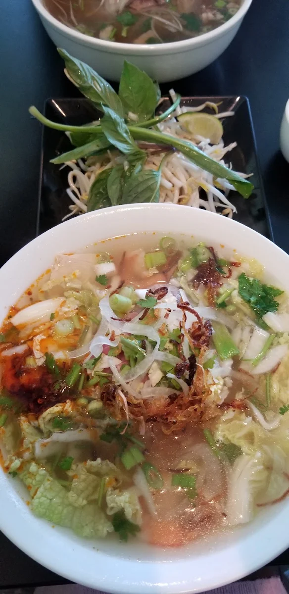 Pho Vietnamese Spring Rolls