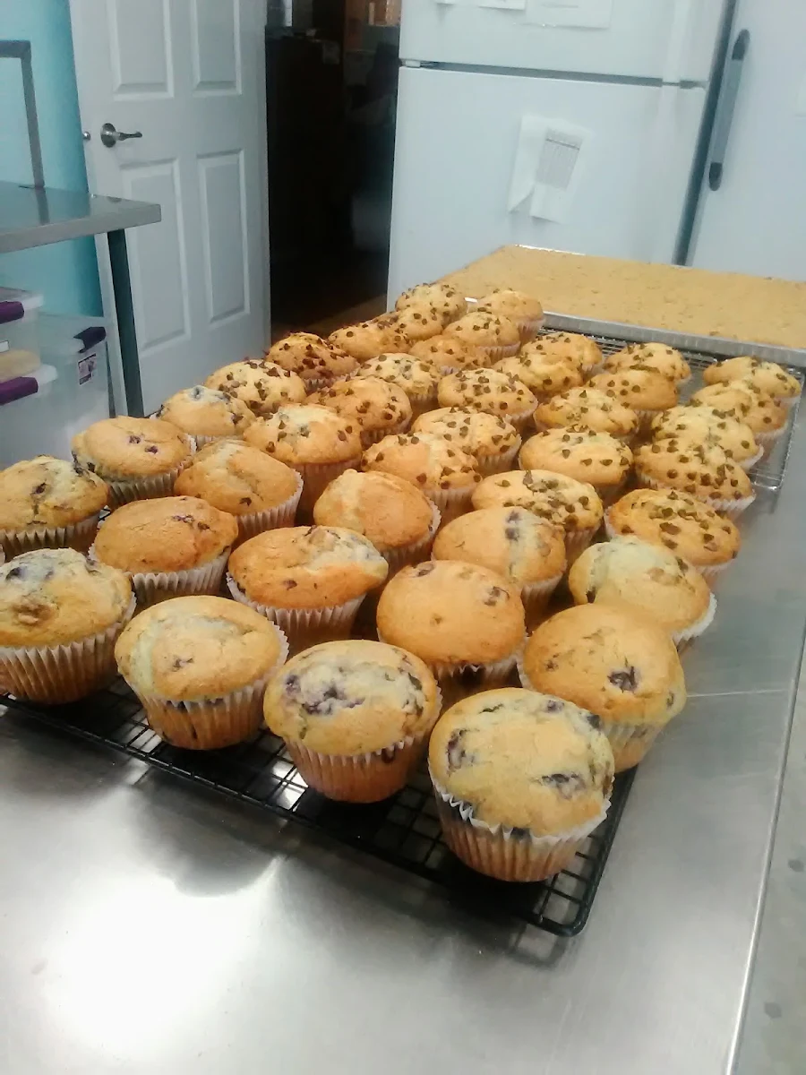 Chocolate Chip and Blueberry