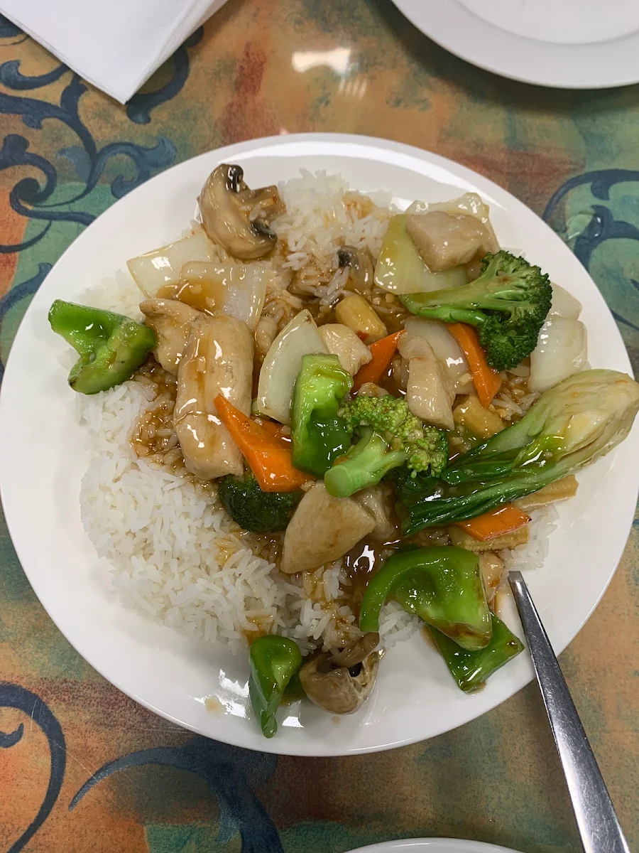Chicken Chop Suey over Steam Rice