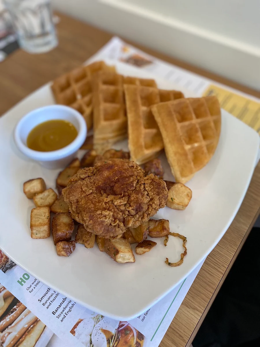 Chicken and Waffles