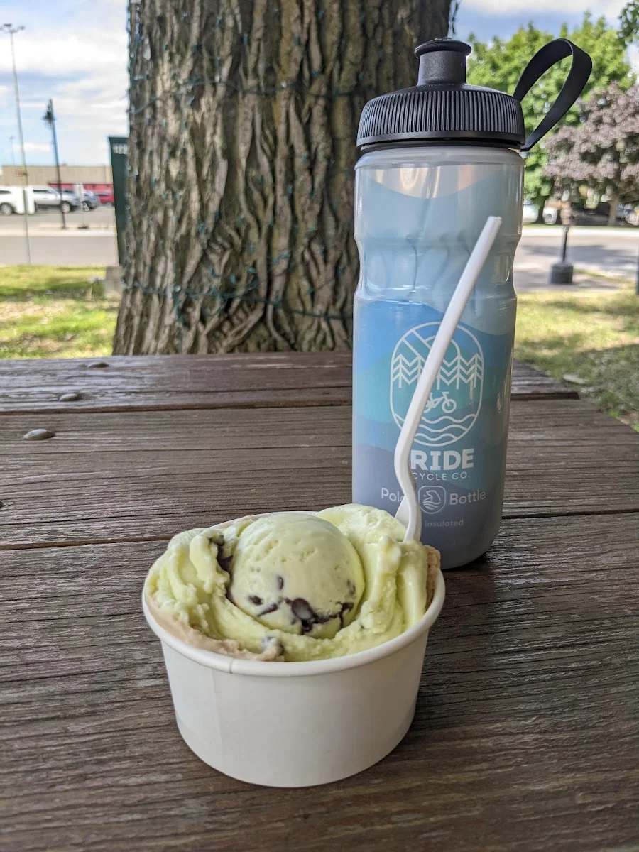 Coffee and Mint Chip Gelatos