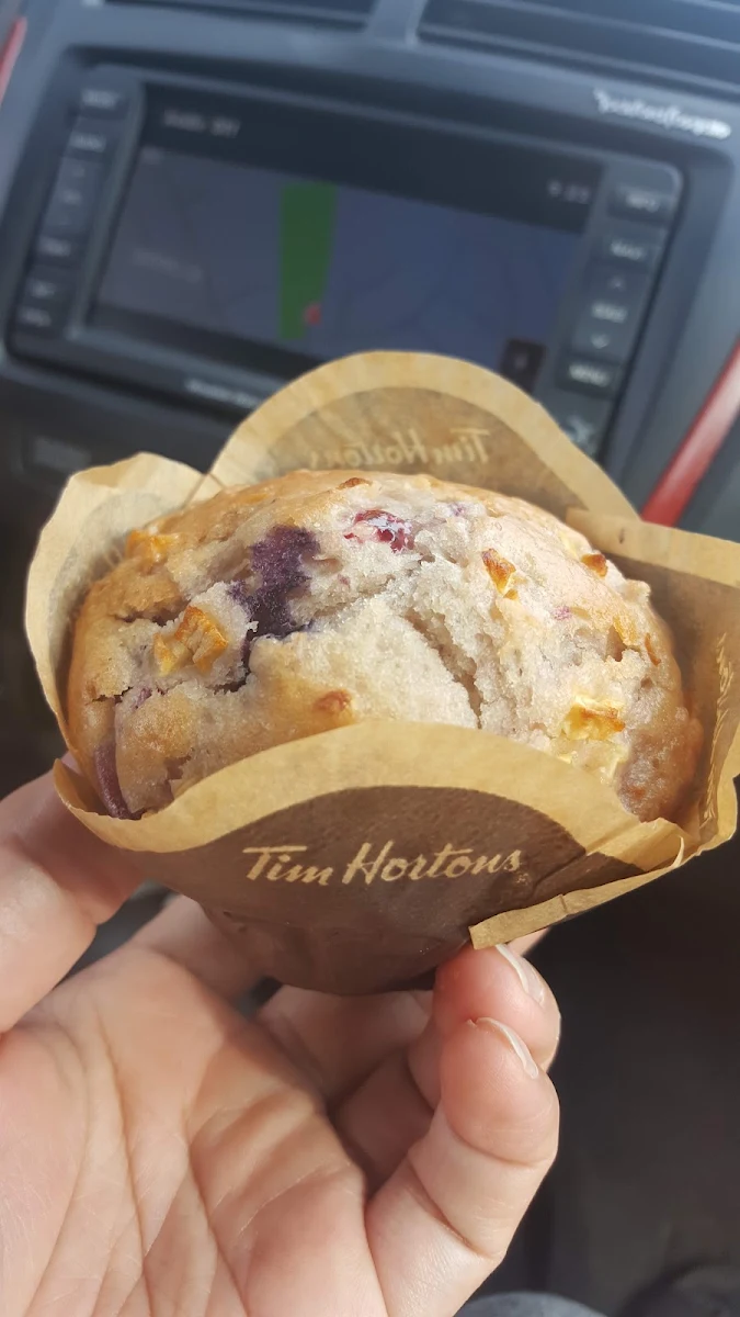 Chocolate Chip Muffin