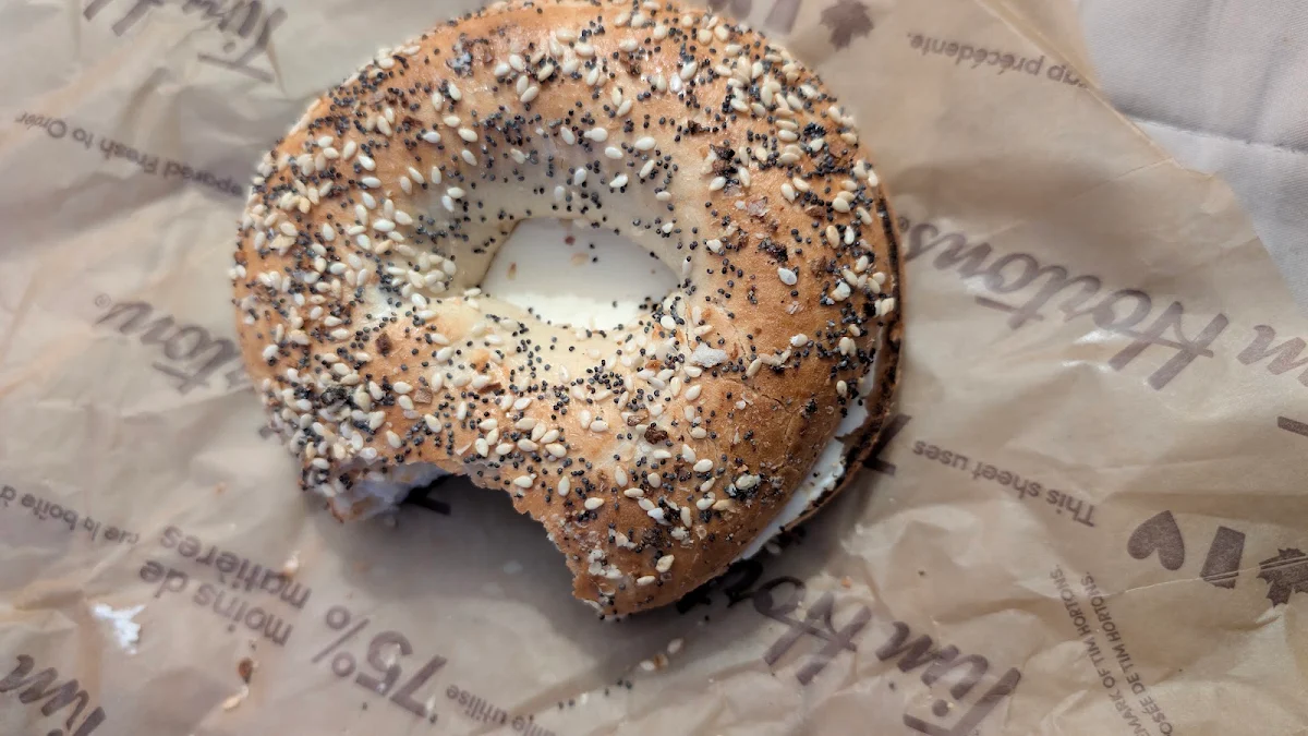 Everything Bagel with Cream Cheese