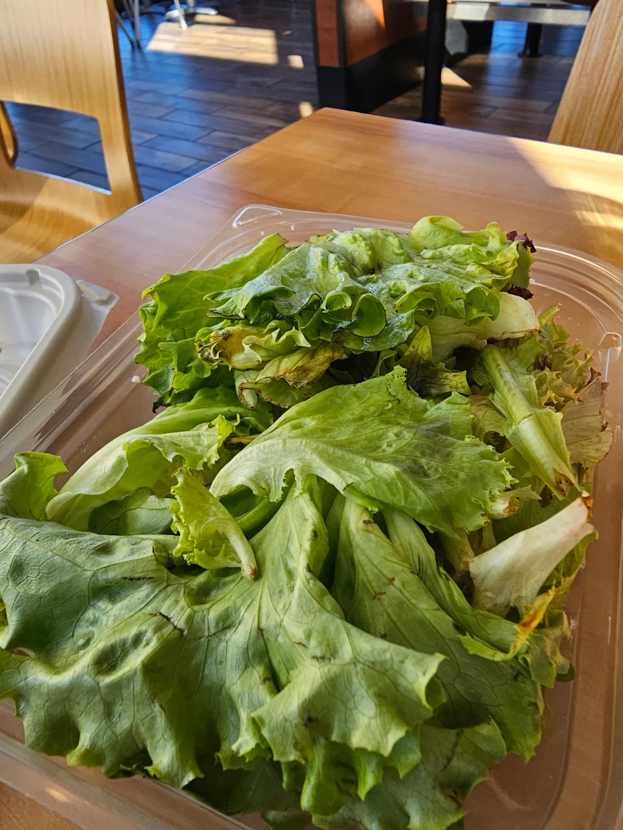 Ceasar Salad