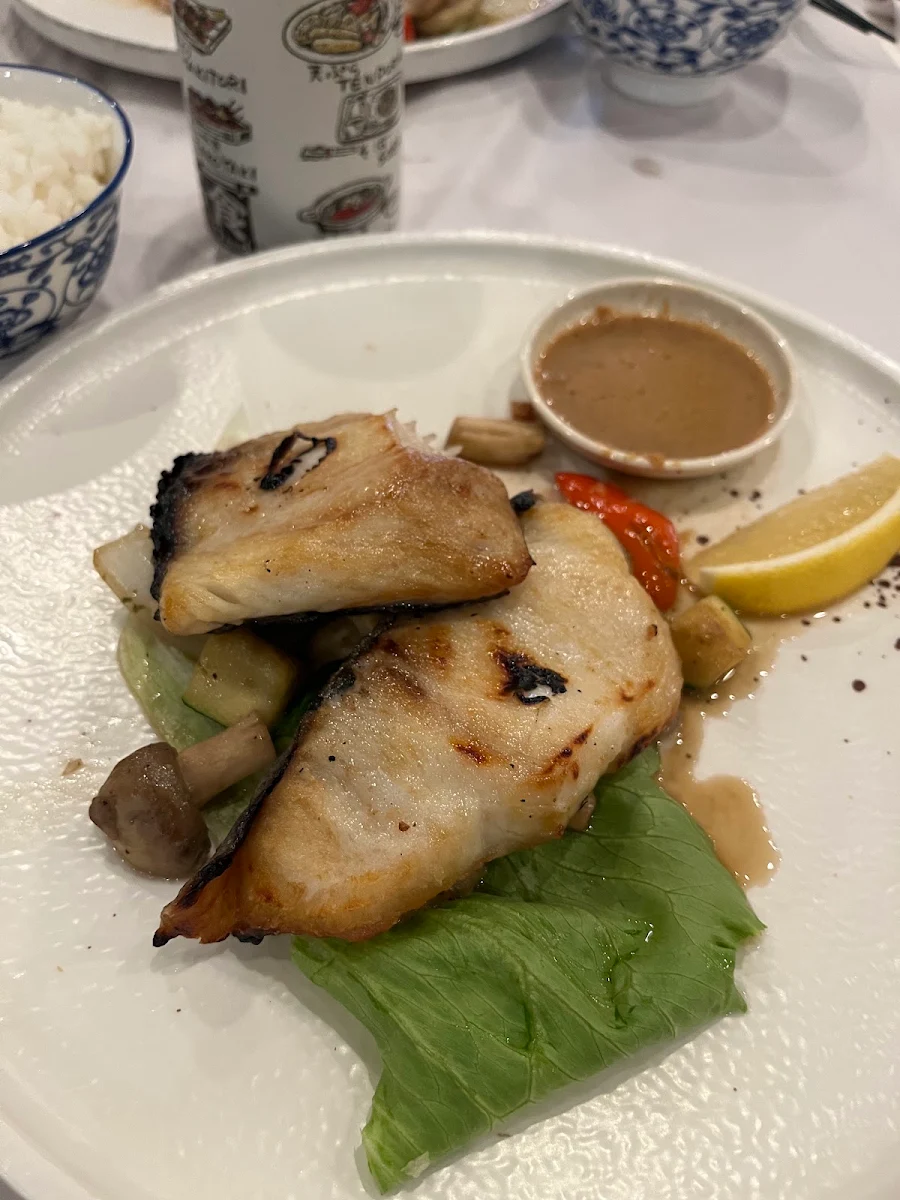 Miso Cod