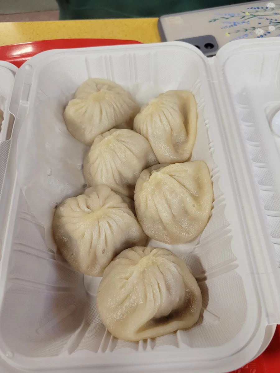 Juicy Steamed Dumplings