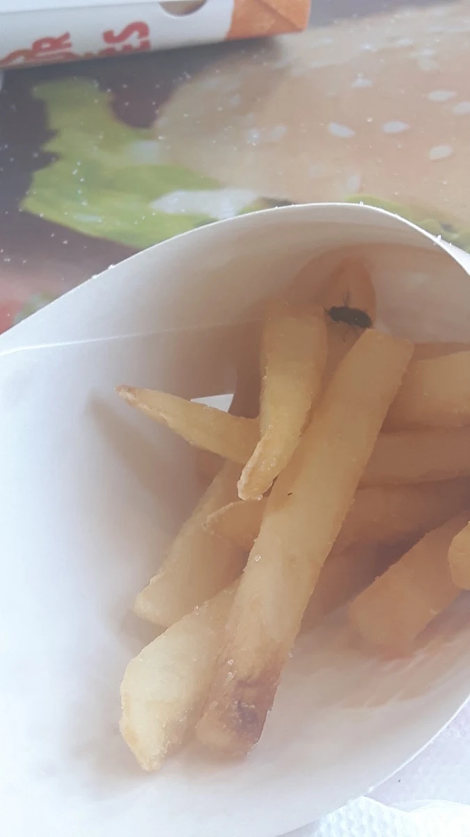 New Small Fries