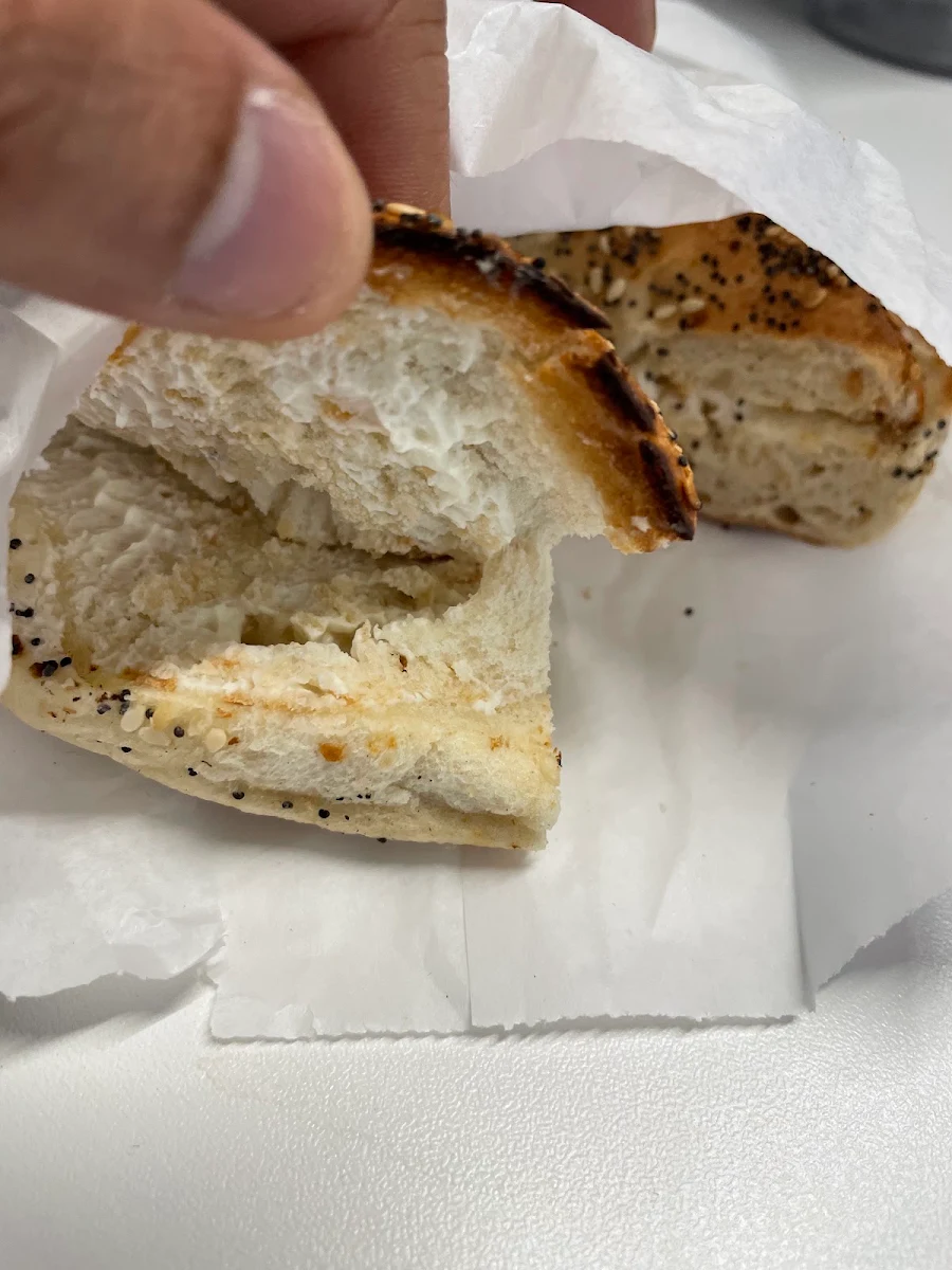 Everything Bagel