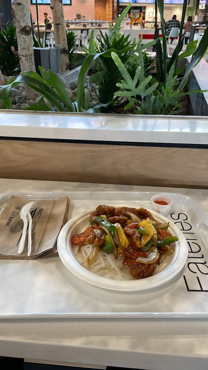 Mango Chicken Noodles