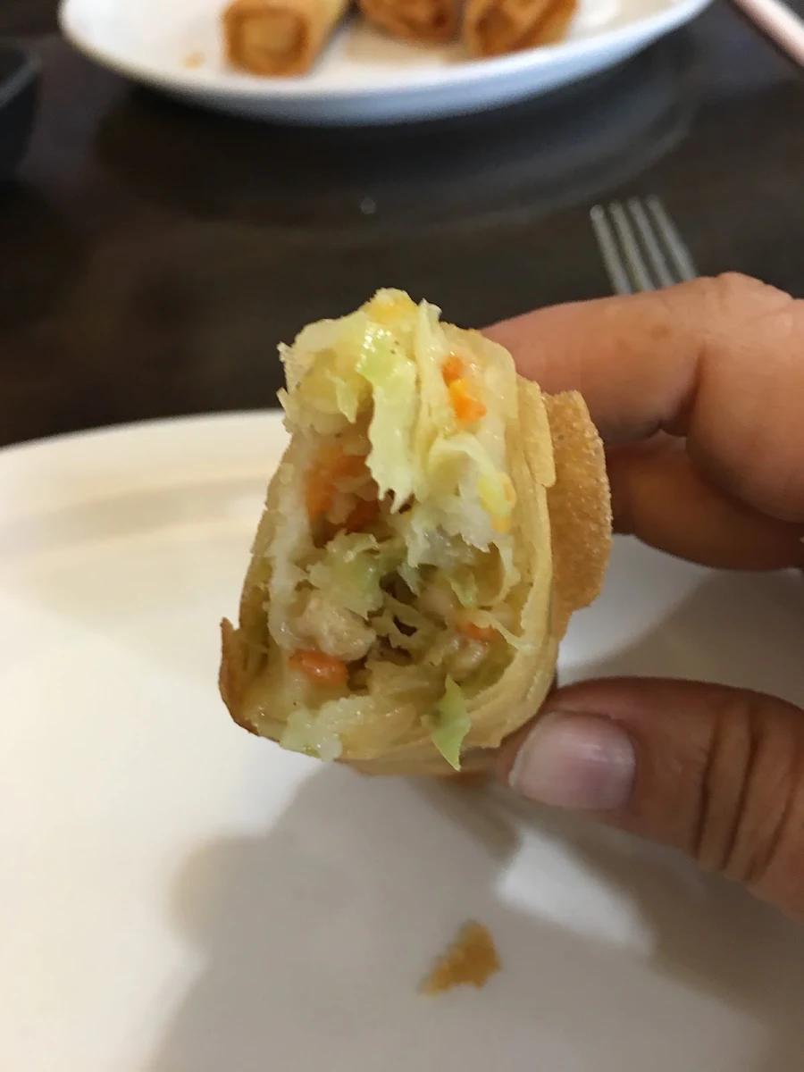 Jumbo Desi Noodle Spring Roll