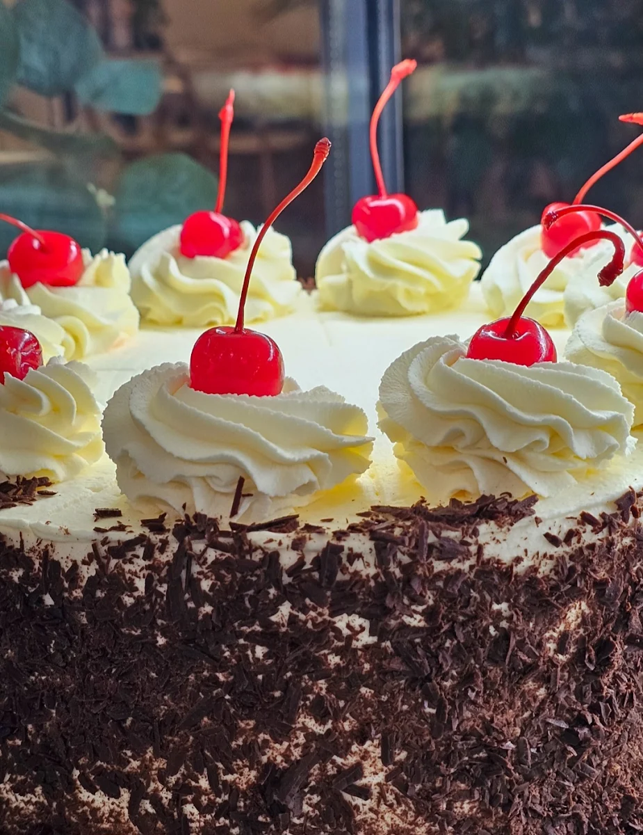 Black Forest with Red Cherries