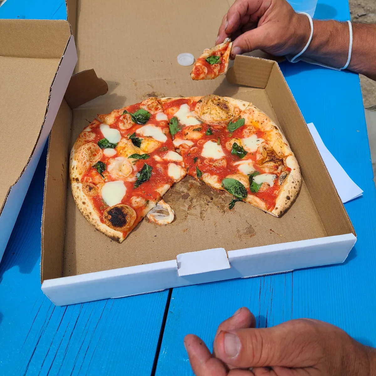 Margarita Pizza Margherita