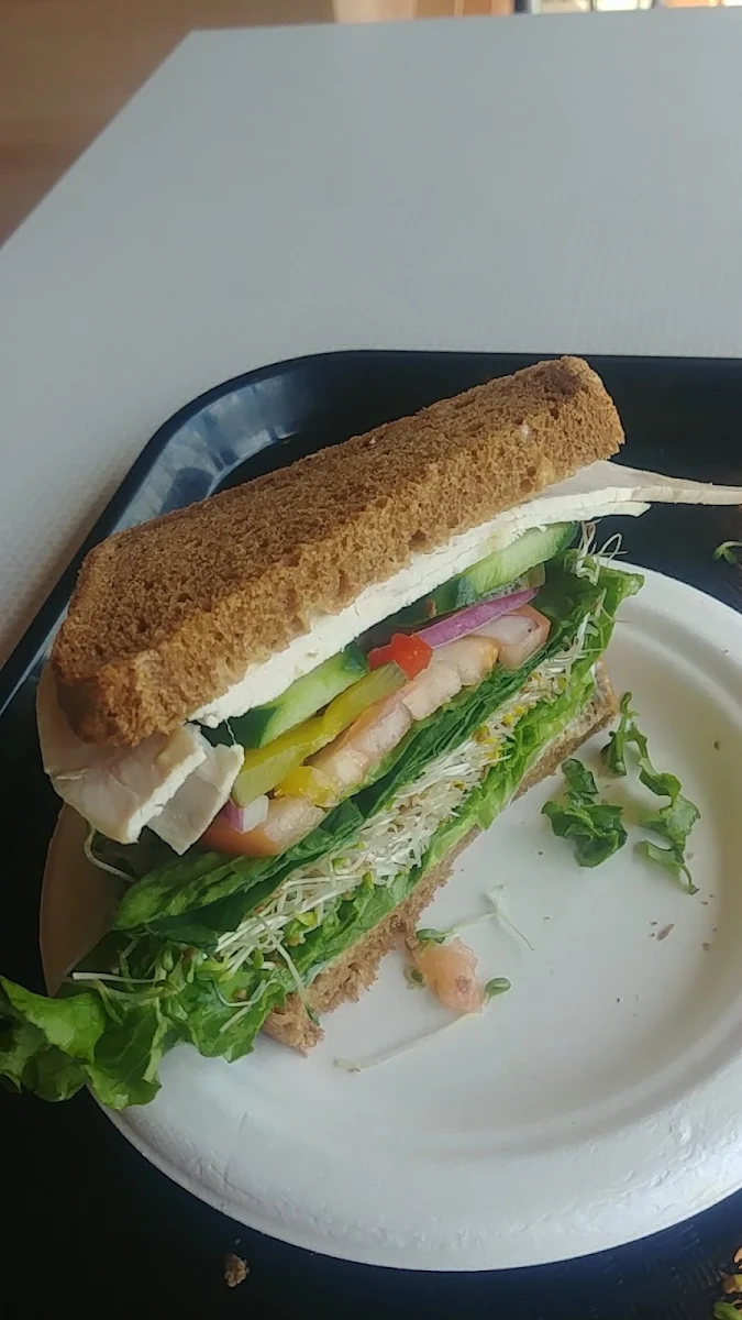 Turkey Sandwich