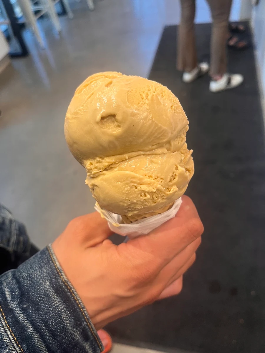 Vanilla Bean Ice Cream in a Sugar Cone