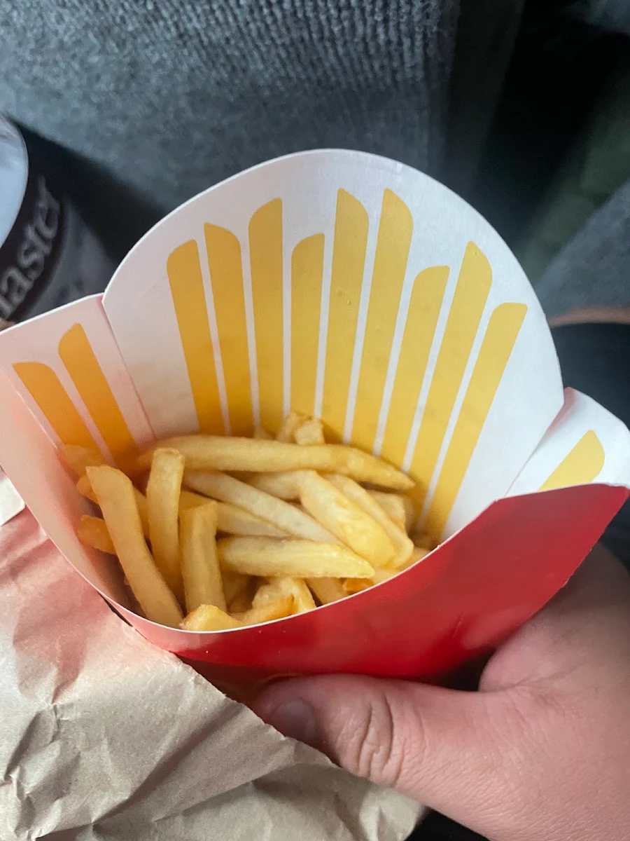 World Famous Fries – Small