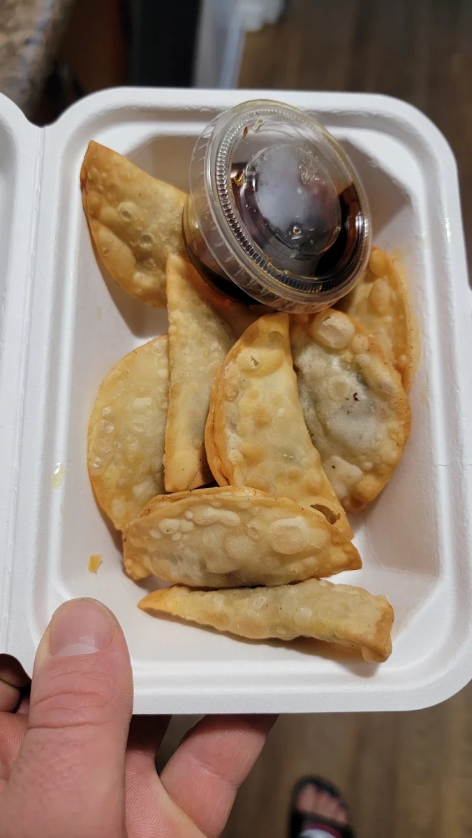 Pan Fried Dumplings 10