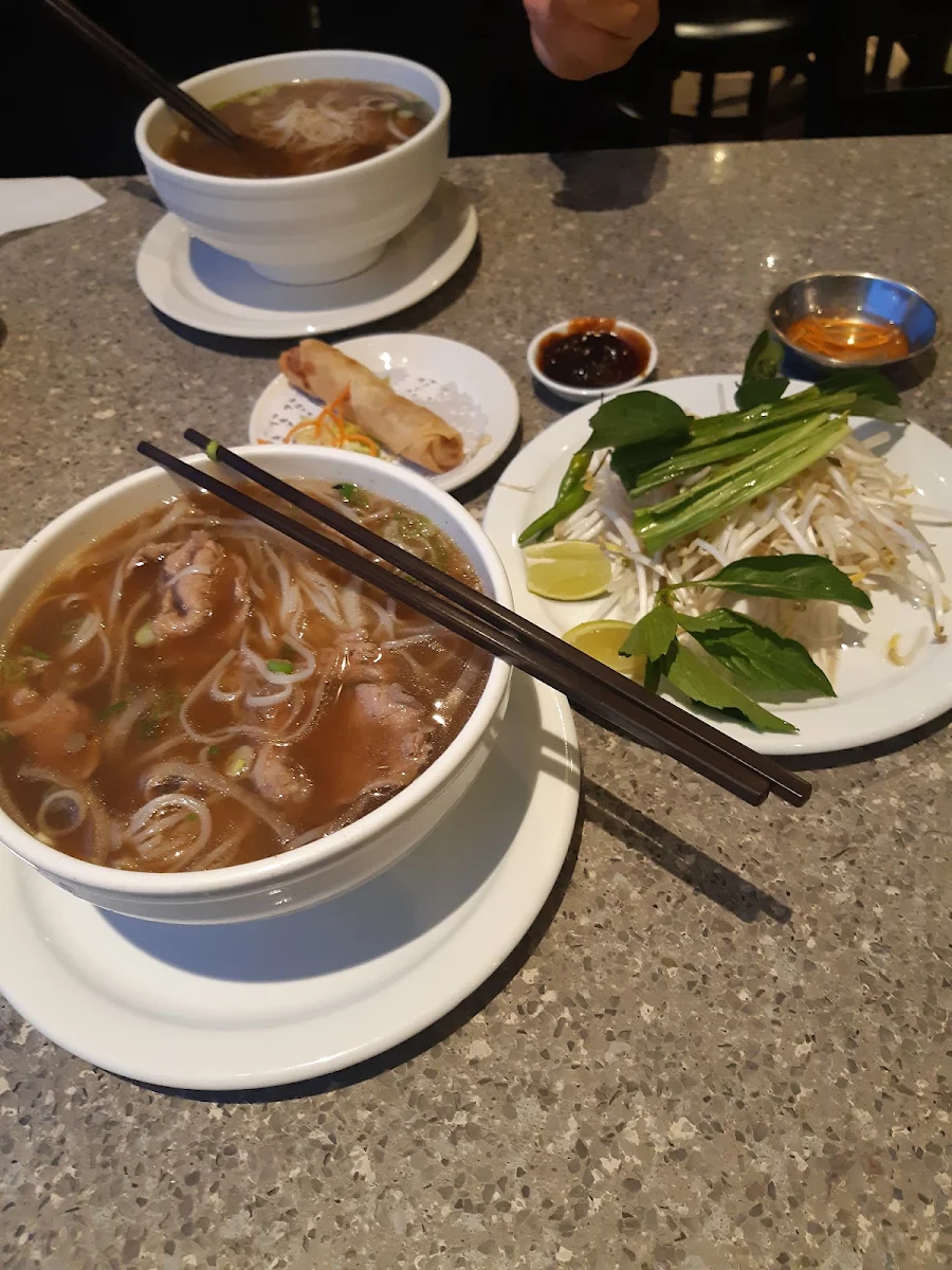 Rare Beef Rice Noodle Soup with Spring Rolls