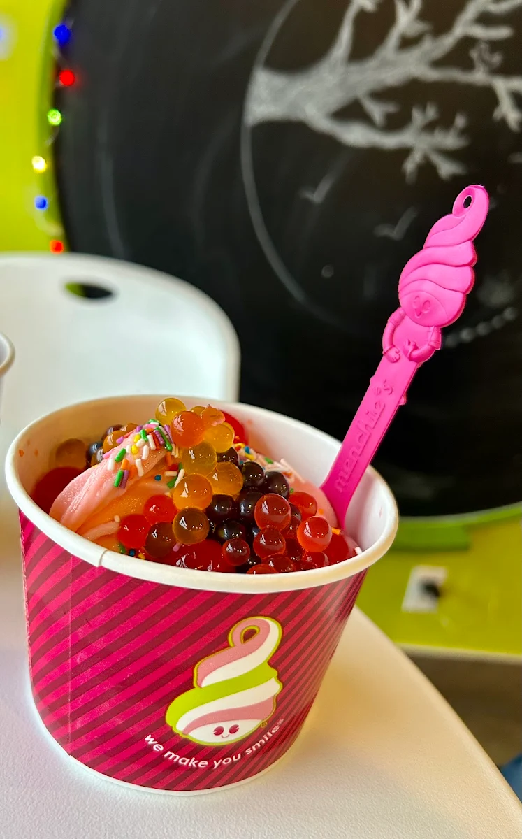 Frozen Yogurt