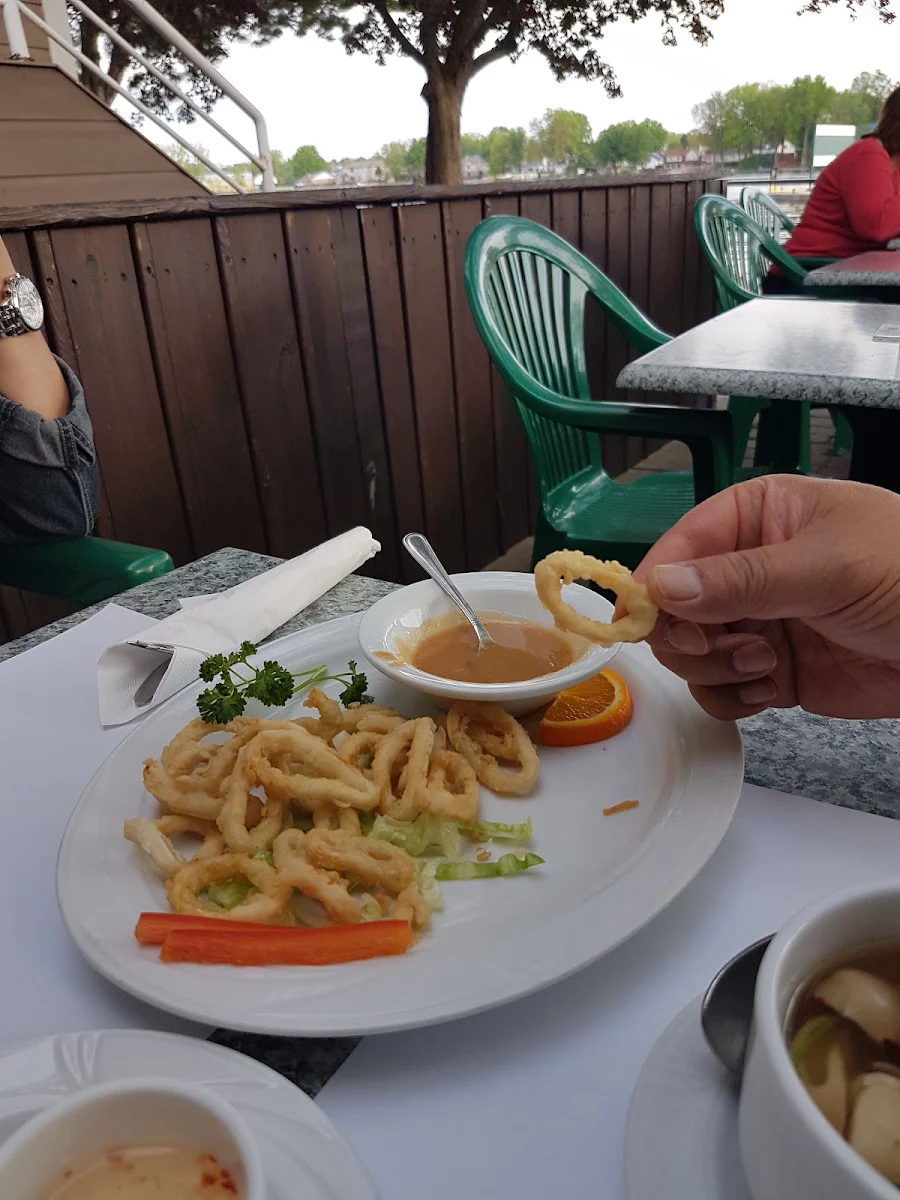 Fried Calamari
